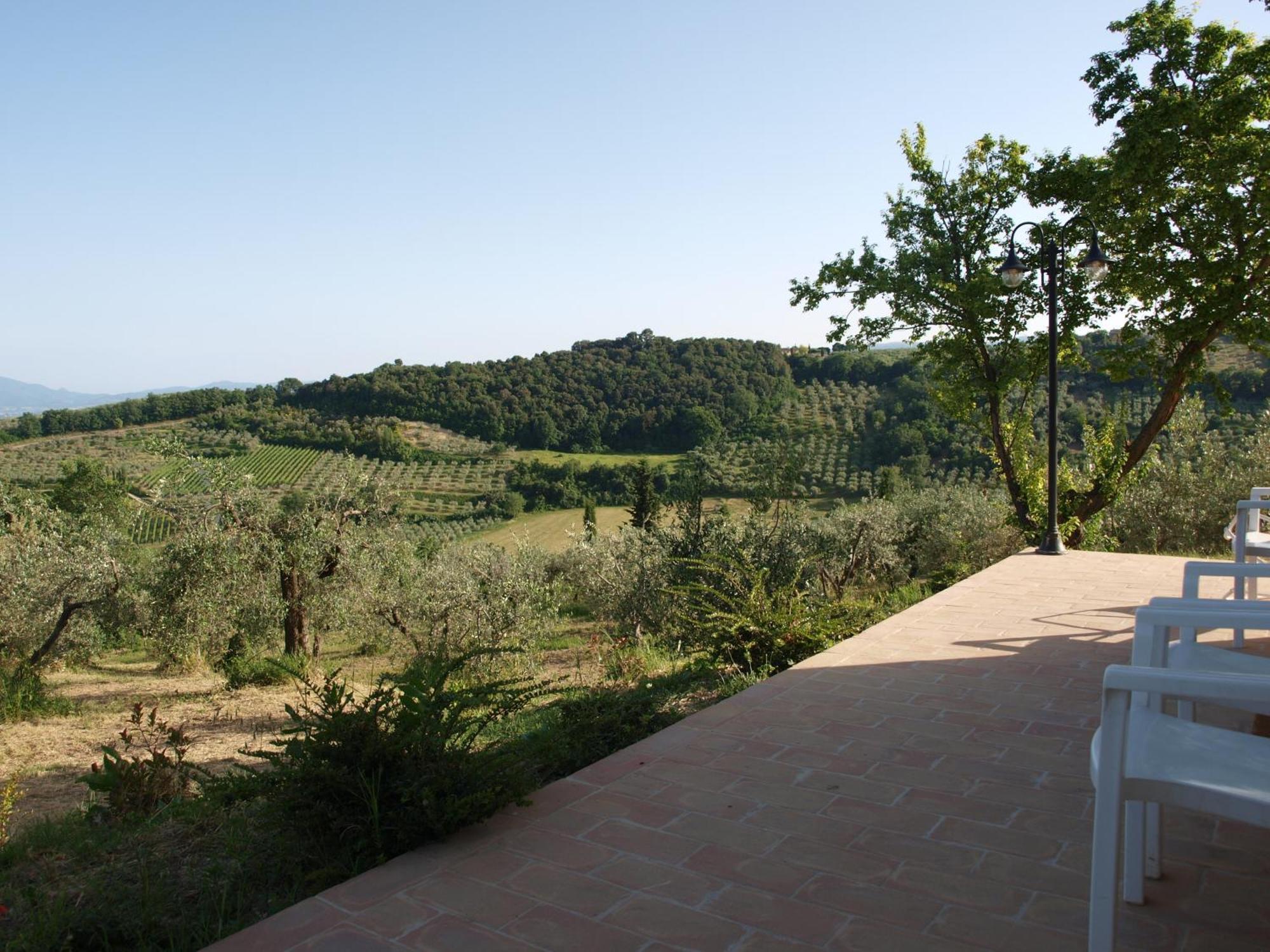 Agriturismo Camiano Piccolo モンテファルコ エクステリア 写真
