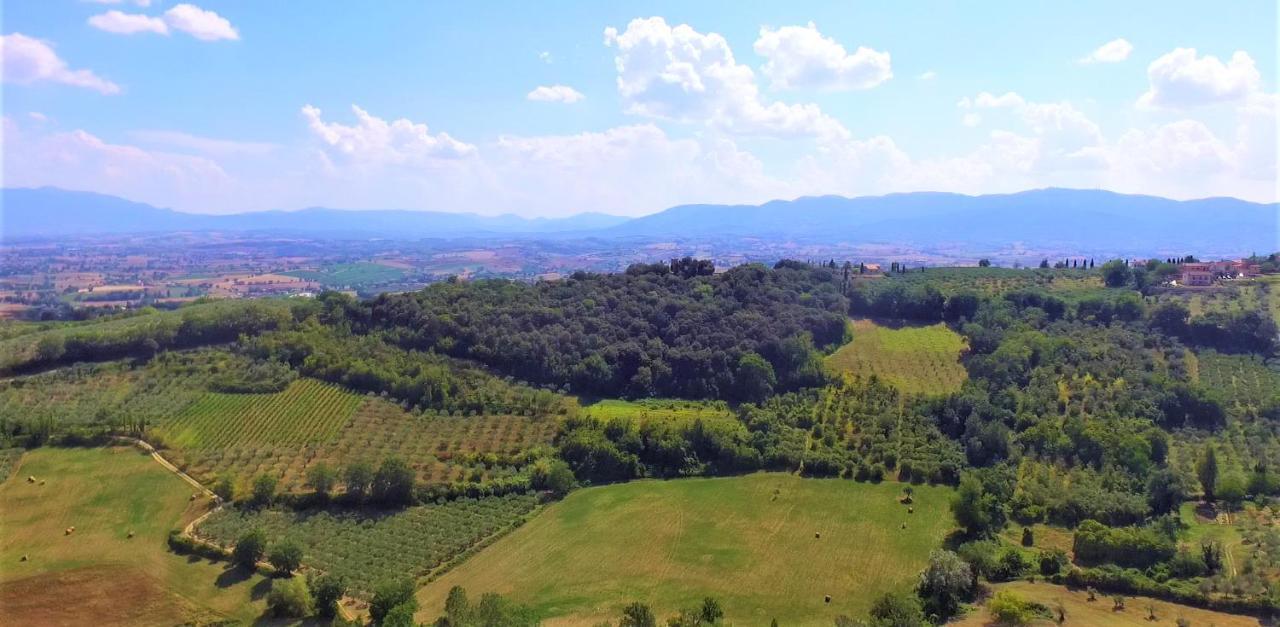 Agriturismo Camiano Piccolo モンテファルコ エクステリア 写真
