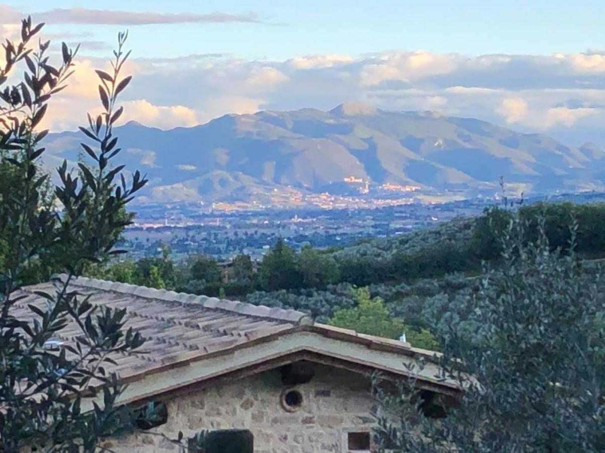 Agriturismo Camiano Piccolo モンテファルコ エクステリア 写真