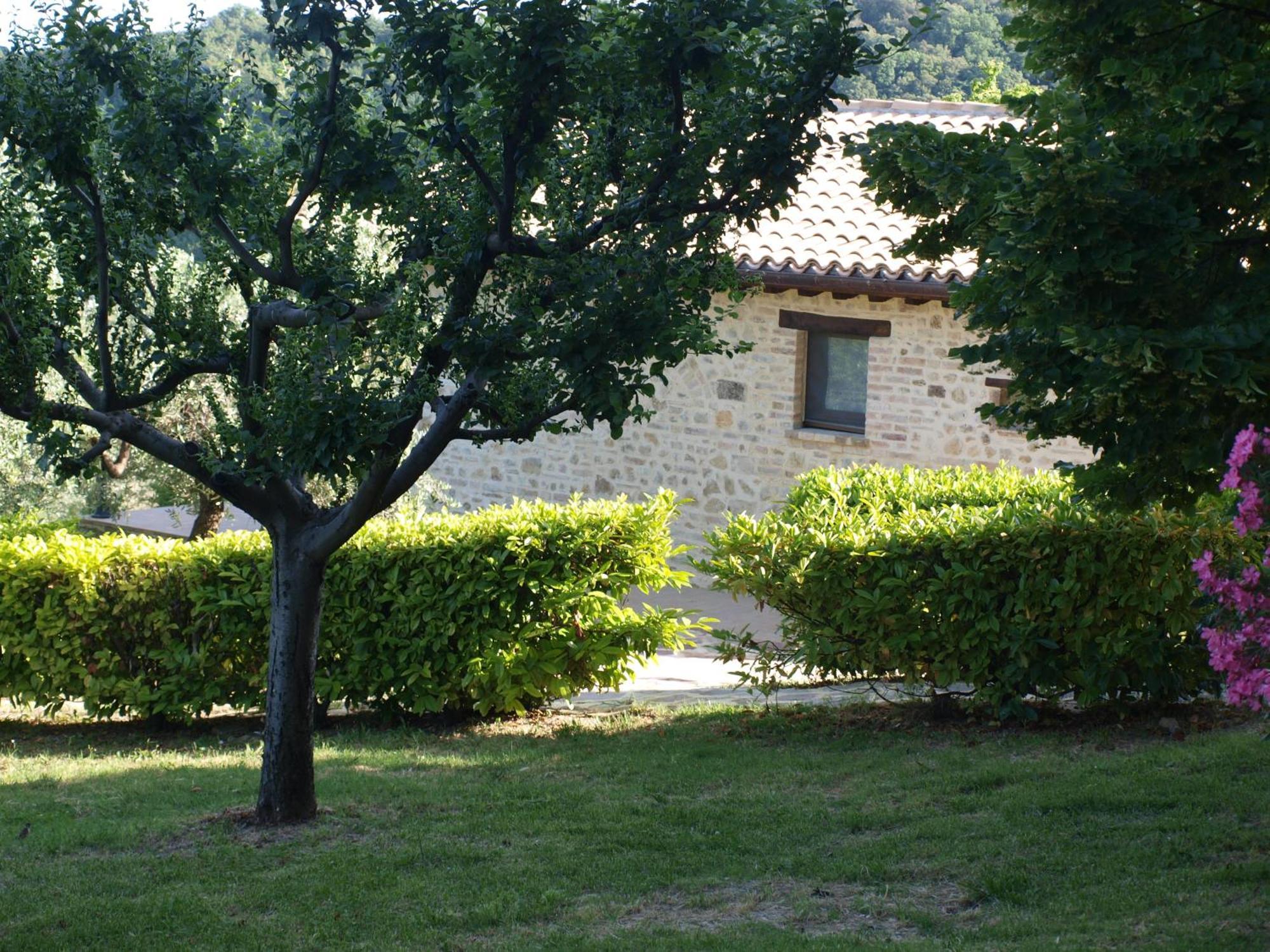 Agriturismo Camiano Piccolo モンテファルコ エクステリア 写真